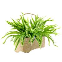 uploads/erp/collection/images/Home Garden/CongDing/XU0610415/img_b/XU0610415_img_b_5